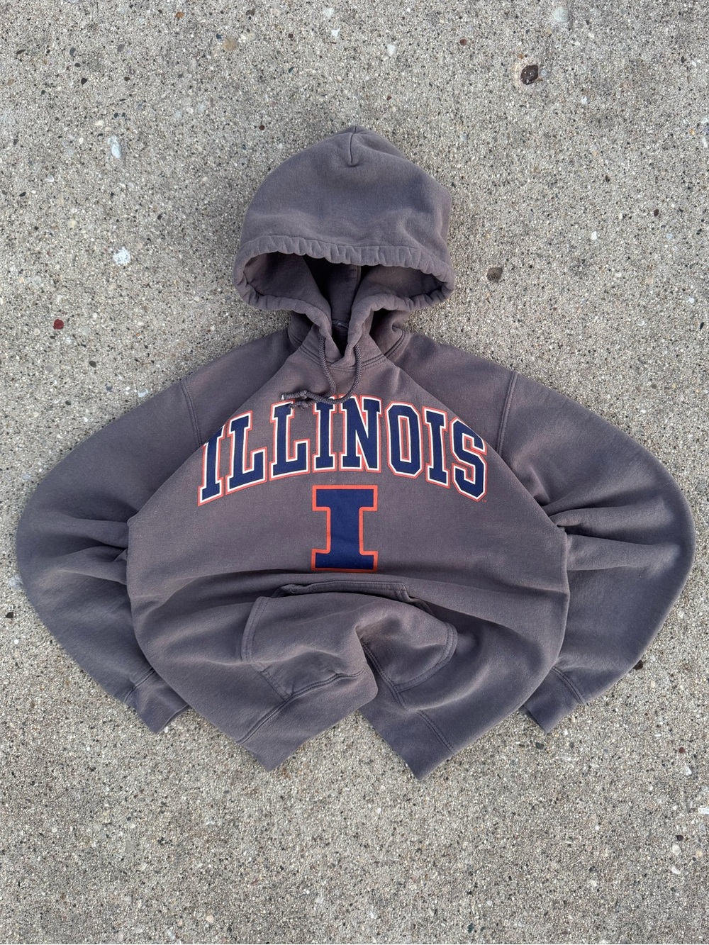 Vintage University of Illinois Hoodie